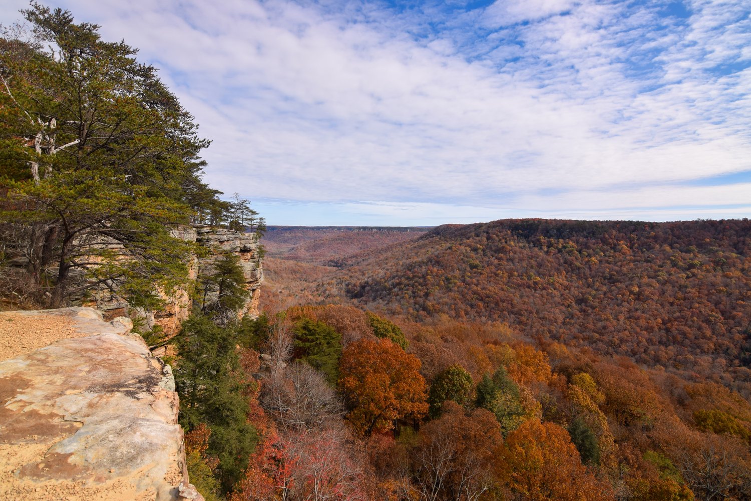 Experience Chattanooga