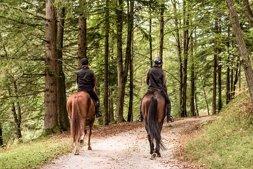 Trails End Ranch Trail Riding